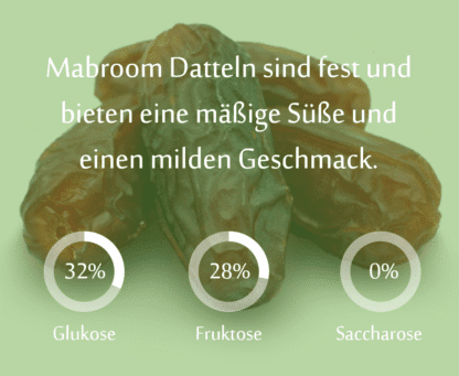 Mabroom – Bild 10